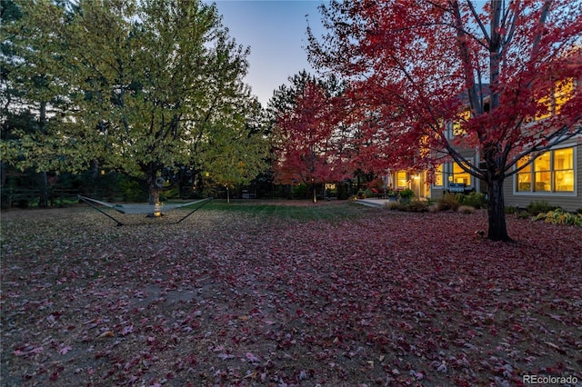 view of yard at dusk