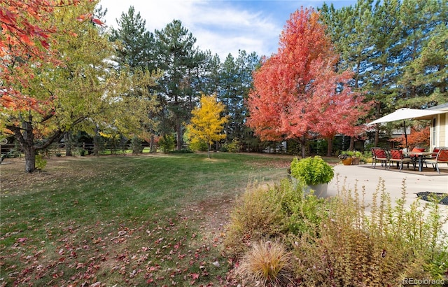 view of yard featuring a patio area