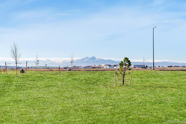 view of yard with a rural view and a mountain view