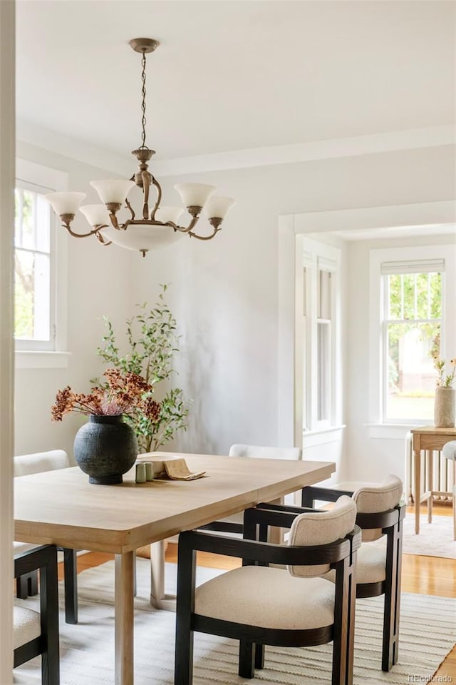 730 Cook St, Denver, CO 80206 - dining space featuring a chandelier and light wood-style floors