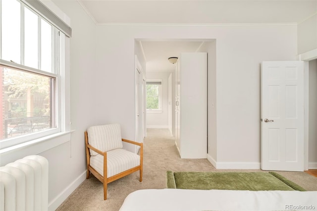 730 Cook St, Denver, CO 80206 - bedroom featuring radiator heating unit, light carpet, baseboards, and crown molding