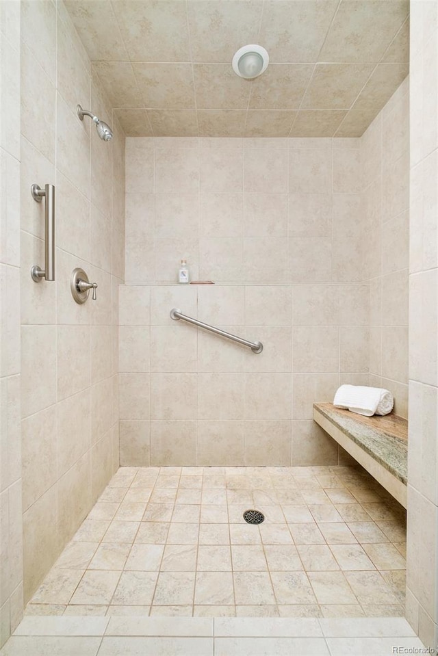 730 Cook St, Denver, CO 80206 - full bath with tiled shower