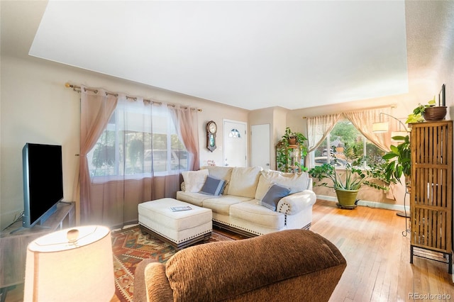 living room featuring hardwood / wood-style floors