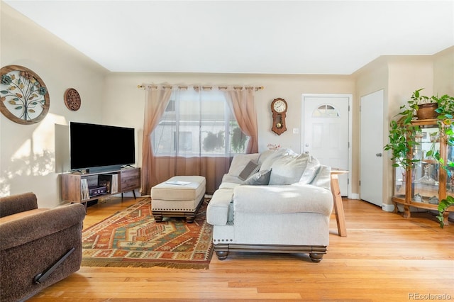 living room featuring light hardwood / wood-style floors