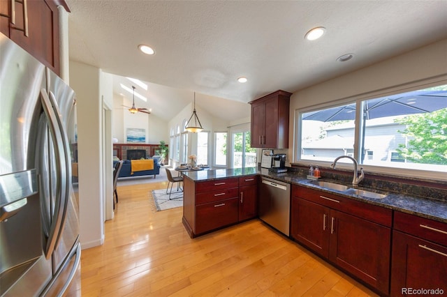 1881 Alma Ln, Superior, CO 80027 - kitchen featuring appliances with stainless steel finishes, a fireplace, light wood-type flooring, a peninsula, and reddish brown cabinets