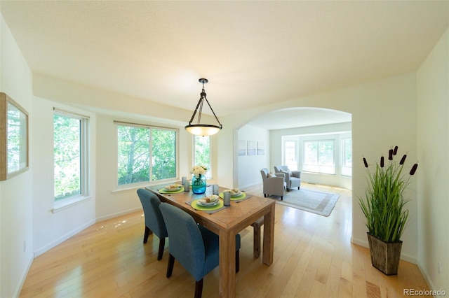 1881 Alma Ln, Superior, CO 80027 - dining space with arched walkways, light wood finished floors, and healthy amount of natural light