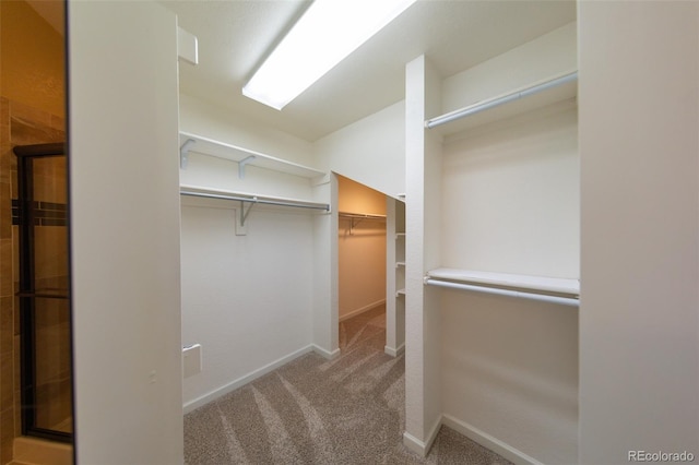 1881 Alma Ln, Superior, CO 80027 - walk in closet featuring carpet