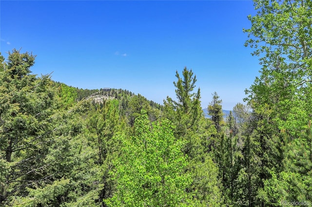 11333 Conifer Mountain Rd, Conifer, CO 80433 - view of mountain background with a forest