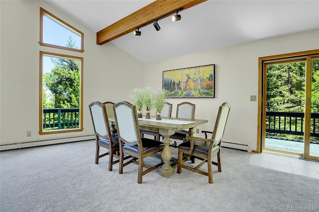 11333 Conifer Mountain Rd, Conifer, CO 80433 - dining space with baseboard heating, light carpet, and track lighting