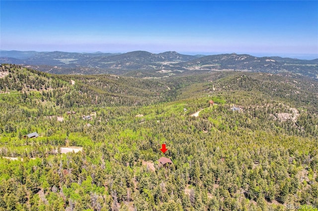11333 Conifer Mountain Rd, Conifer, CO 80433 - mountain view featuring a forest