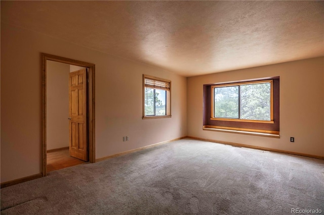 917 Bluebird Ln, Bailey, CO 80421 - carpeted empty room featuring plenty of natural light, baseboards, and a textured ceiling
