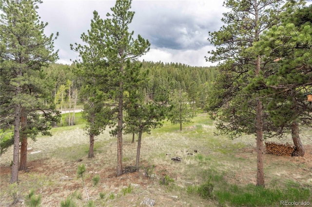 917 Bluebird Ln, Bailey, CO 80421 - view of tree filled area