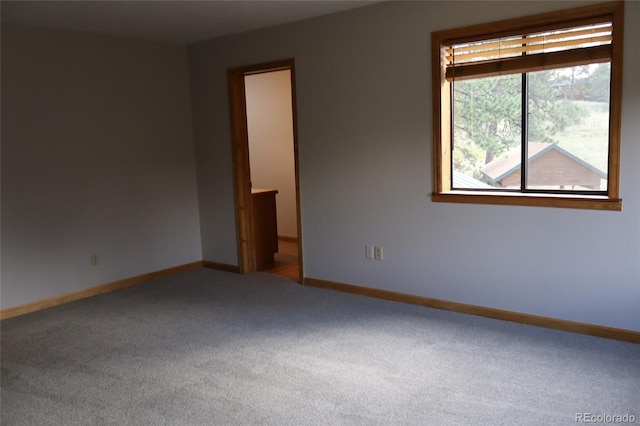 917 Bluebird Ln, Bailey, CO 80421 - photo 9