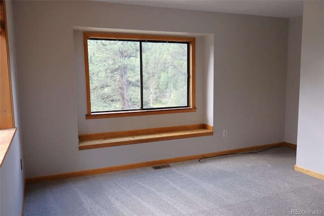 917 Bluebird Ln, Bailey, CO 80421 - photo 10