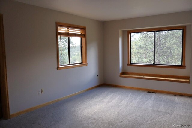 917 Bluebird Ln, Bailey, CO 80421 - photo 11