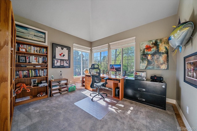 10127 W 100th Ct, Westminster, CO 80021 - office space with carpet
