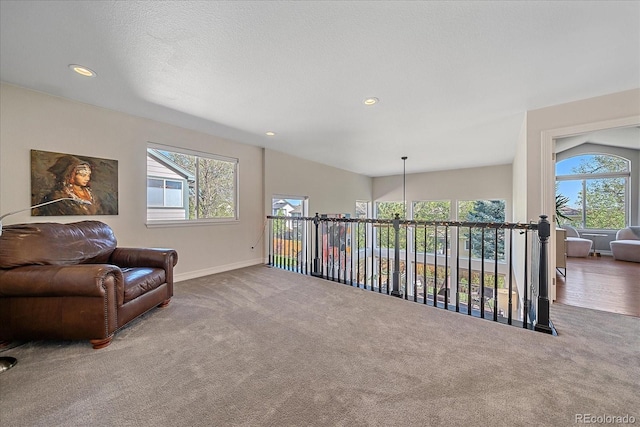 10127 W 100th Ct, Westminster, CO 80021 - living area featuring healthy amount of natural light, carpet flooring, baseboards, and recessed lighting