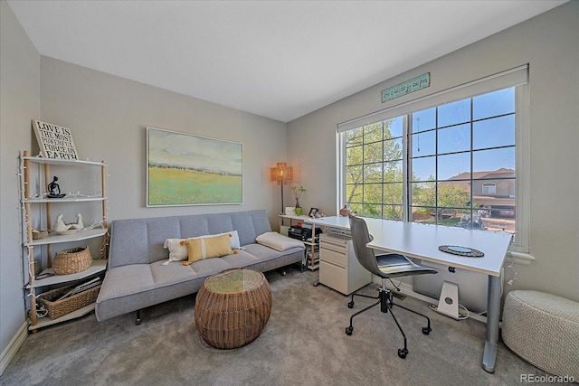 10127 W 100th Ct, Westminster, CO 80021 - home office featuring carpet floors and baseboards