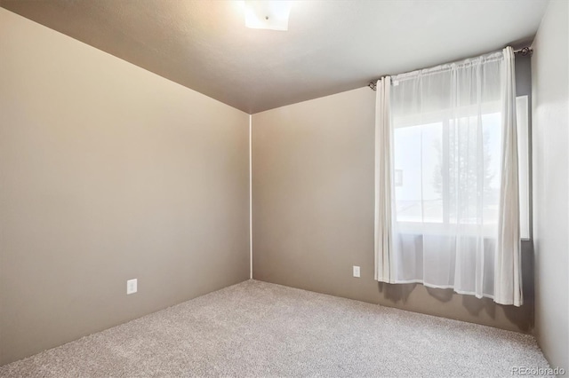 3623 S Sheridan Blvd Unit 14, Denver, CO 80235 - photo 8