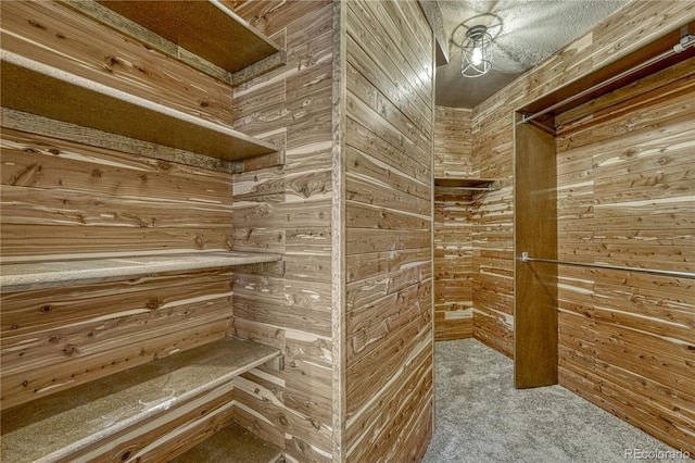 1915 Hunters Point Ln, Colorado Springs, CO 80919 - walk in closet featuring carpet flooring