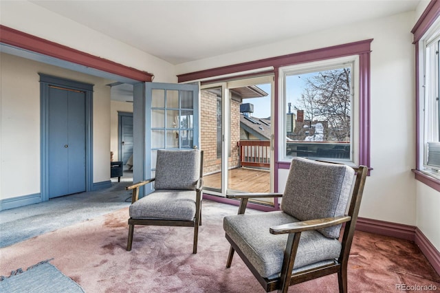 sitting room with carpet flooring