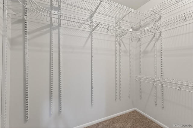 12252 W Asbury Pl, Lakewood, CO 80228 - photo 22