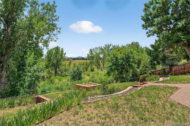 12252 W Asbury Pl, Lakewood, CO 80228 - photo 40