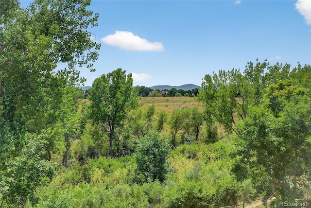 12252 W Asbury Pl, Lakewood, CO 80228 - photo 41