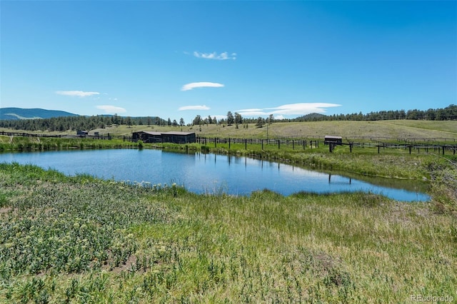 864 County Rd 132, Guffey, CO 80820 - photo 12