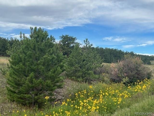 864 County Rd 132, Guffey, CO 80820 - photo 26