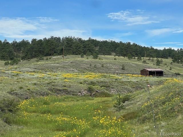 view of nature featuring a rural view