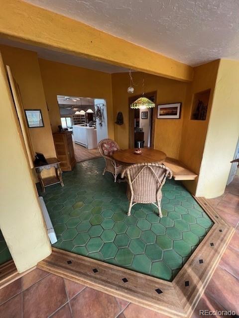 864 County Rd 132, Guffey, CO 80820 - photo 38