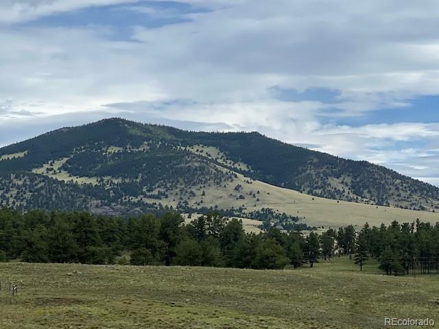 property view of mountains with a rural view