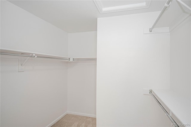 spacious closet with light carpet