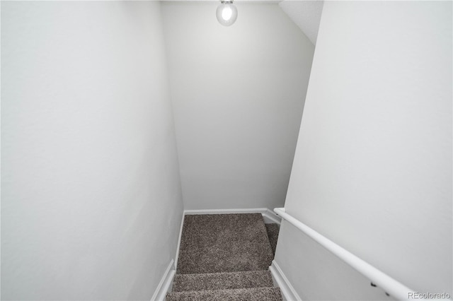 staircase featuring carpet floors