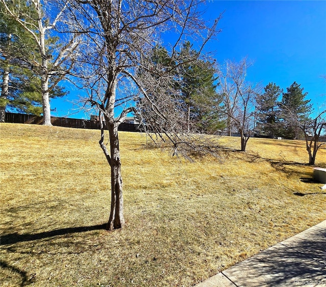 view of yard with fence