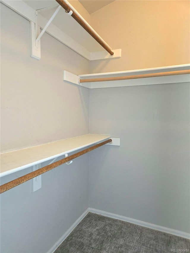 walk in closet featuring dark colored carpet