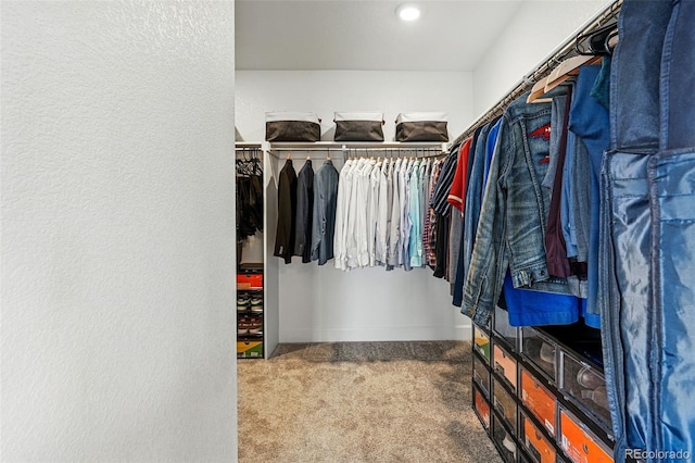 walk in closet featuring carpet