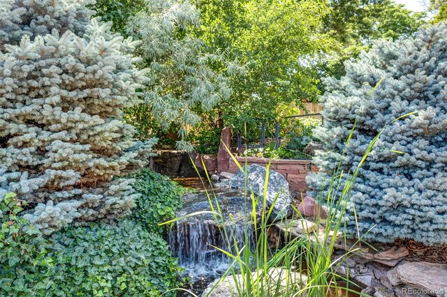 4660 E Briarwood Pl, Centennial, CO 80122 - view of local wilderness