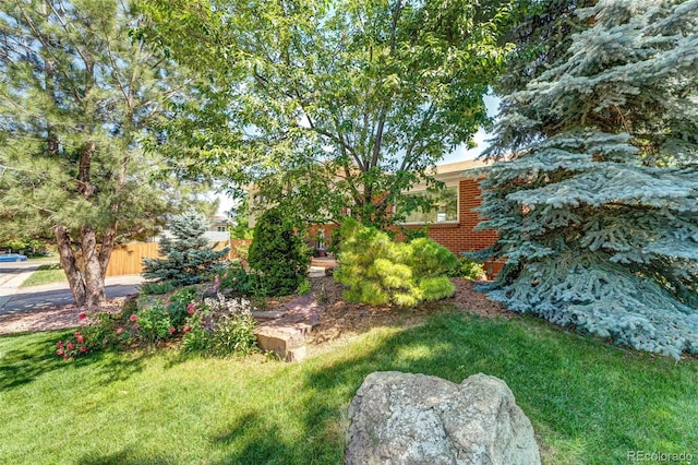 4660 E Briarwood Pl, Centennial, CO 80122 - view of yard