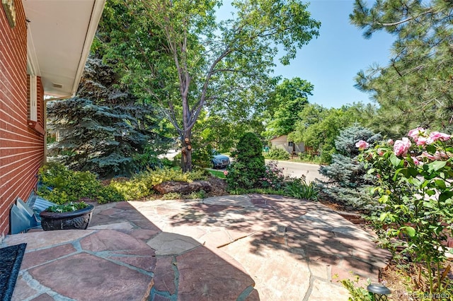 4660 E Briarwood Pl, Centennial, CO 80122 - view of patio / terrace