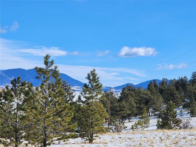 view of mountain feature