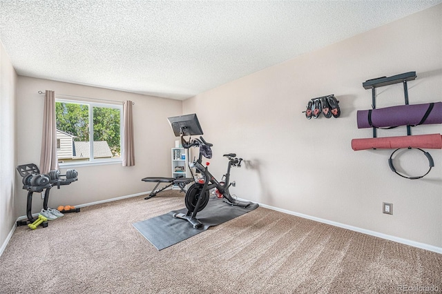 5355 E 129th Ave, Thornton, CO 80241 - photo 11