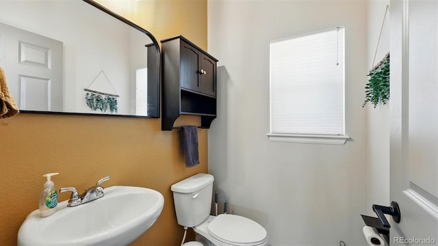 6207 Kildare Dr, Colorado Springs, CO 80927 - bathroom featuring a sink and toilet