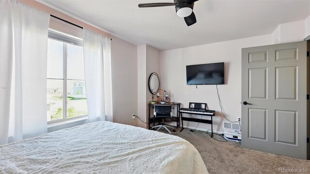 6207 Kildare Dr, Colorado Springs, CO 80927 - carpeted bedroom featuring multiple windows and a ceiling fan