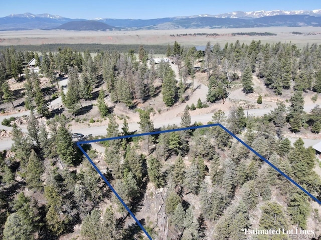 1720 Middle Fork Vis, Fairplay, CO 80440