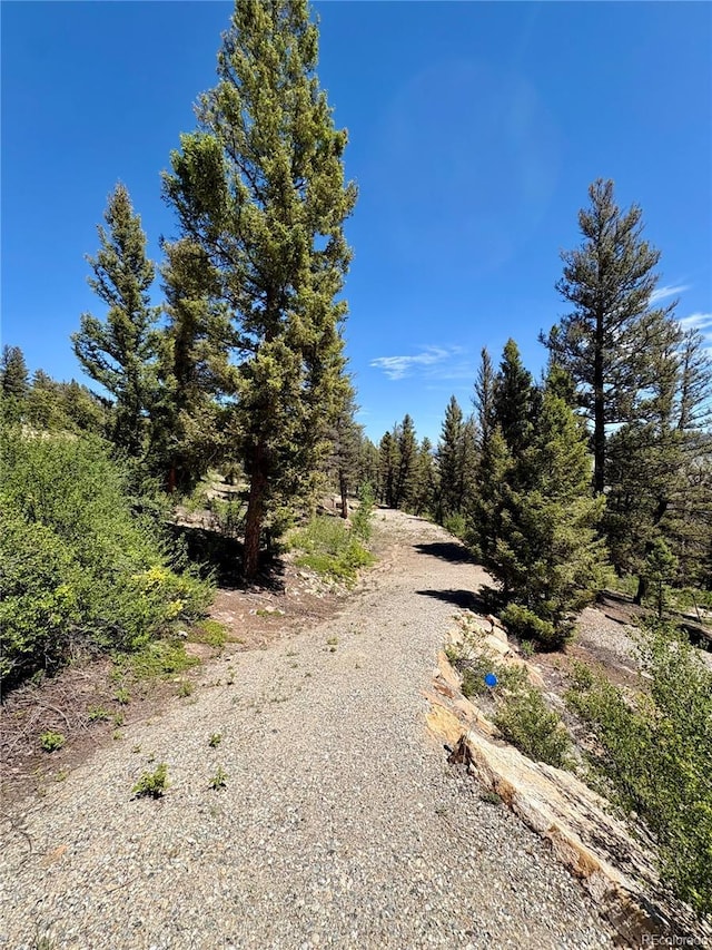 1720 Middle Fork Vis, Fairplay, CO 80440
