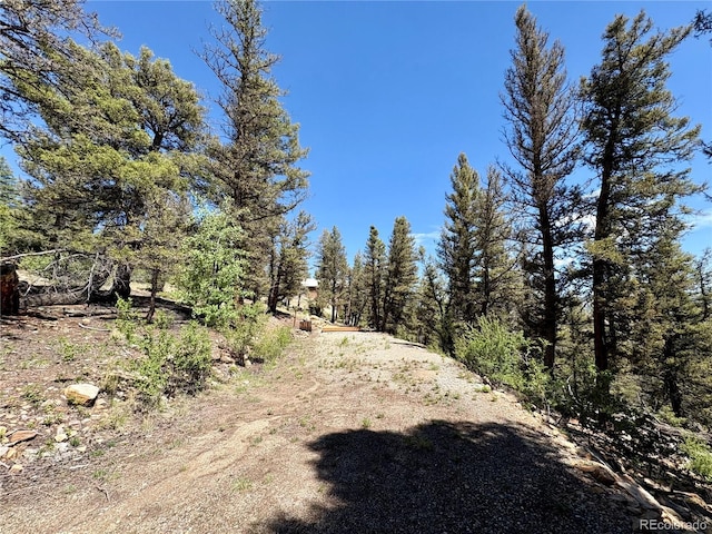1720 Middle Fork Vis, Fairplay, CO 80440