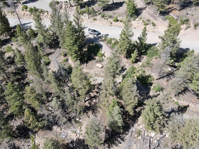 1720 Middle Fork Vis, Fairplay, CO 80440