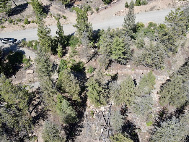 1720 Middle Fork Vis, Fairplay, CO 80440